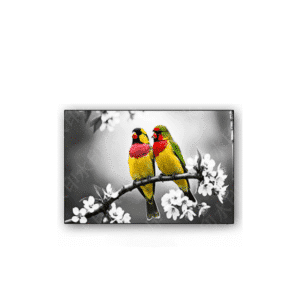 Tableau déco deux oiseaux colorés sur branche fleurie