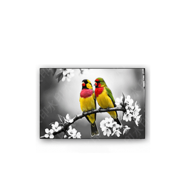 Tableau déco deux oiseaux colorés sur branche fleurie